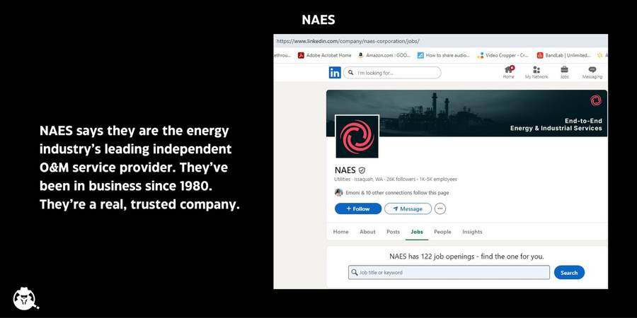 NAES Corporation's real verified LinkedIn presence